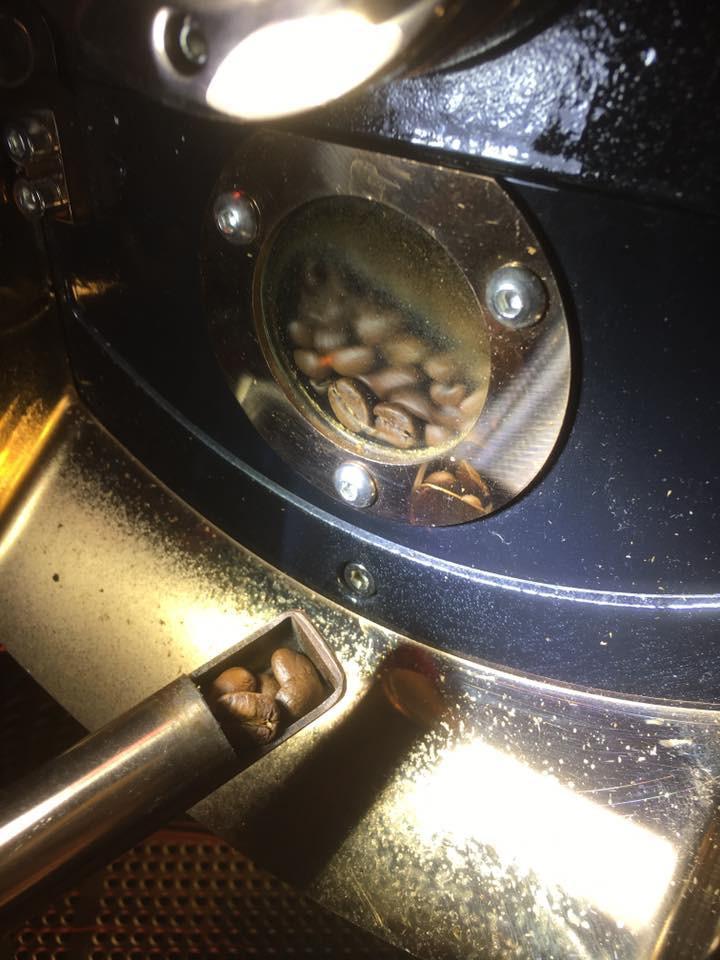 Micro-Roast Coffee Beans - Costa Rica SHG Tarrazu NAVY COFFEE